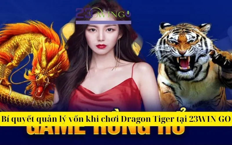 Bí quyết quản lý vốn khi chơi Dragon Tiger tại 23WIN GO