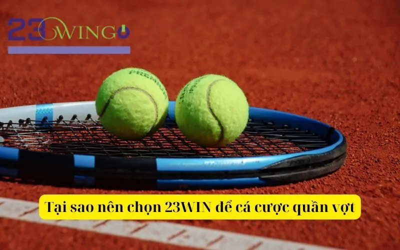 Tại sao nên chọn 23WIN để cá cược quần vợt