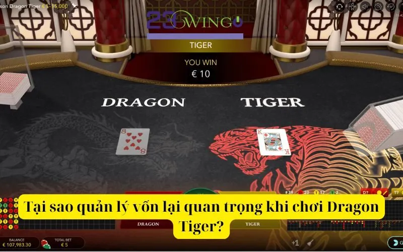 Tại sao quản lý vốn lại quan trọng khi chơi Dragon Tiger