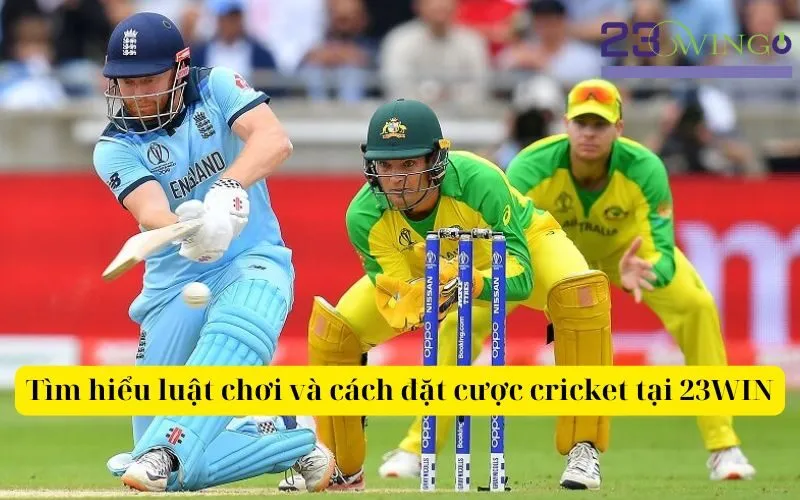 Tìm hiểu luật chơi và cách đặt cược cricket tại 23WIN